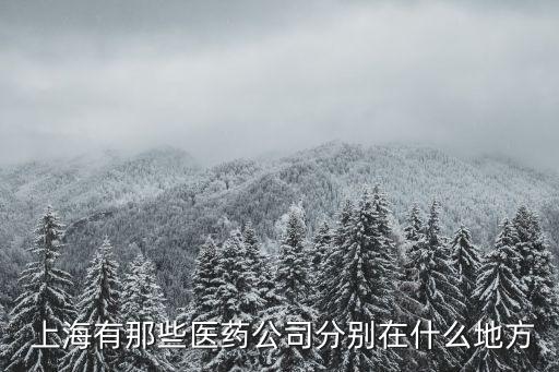  上海有那些醫(yī)藥公司分別在什么地方
