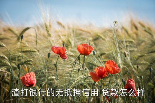 深圳渣打銀行貸款可靠嗎,渣打銀行貸款客服電話