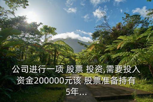 企業(yè)股票投資