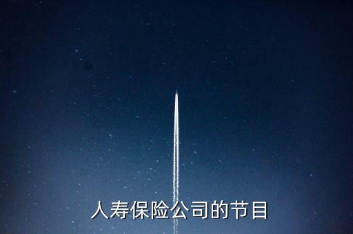  人壽保險公司的節(jié)目