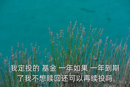 我定投的 基金 一年如果 一年到期了我不想贖回還可以再續(xù)投嗎