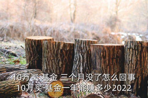 10萬(wàn)買(mǎi) 基金 三個(gè)月沒(méi)了怎么回事10萬(wàn)買(mǎi) 基金一年能賺多少2022