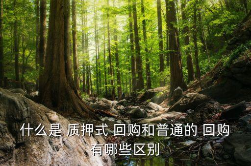 什么是 質(zhì)押式 回購和普通的 回購有哪些區(qū)別