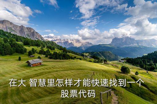 在大 智慧里怎樣才能快速找到一個 股票代碼
