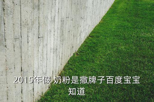 2015年假 奶粉是撒牌子百度寶寶知道