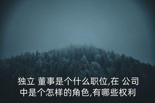 上市公司獨(dú)立董事報(bào)告
