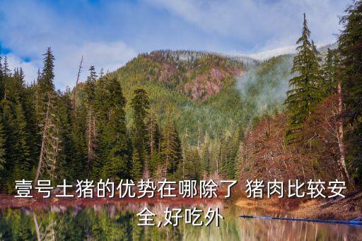 壹號(hào)土豬的優(yōu)勢(shì)在哪除了 豬肉比較安全,好吃外