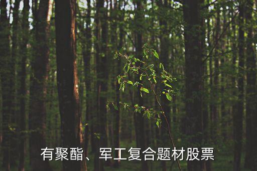 有聚酯、軍工復(fù)合題材股票