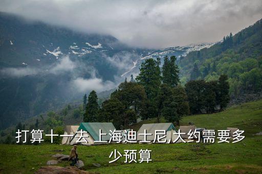 上海迪斯尼消費多少錢