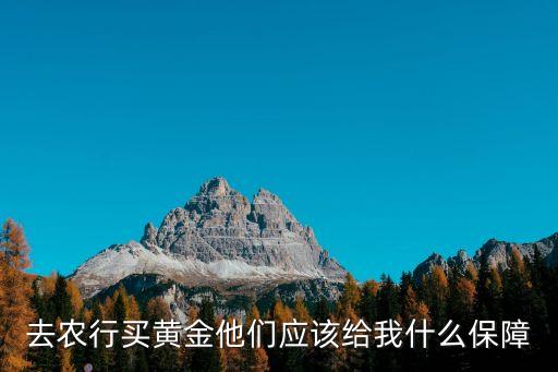 去農(nóng)行買黃金他們應(yīng)該給我什么保障