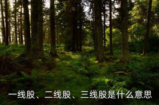  一線股、二線股、三線股是什么意思