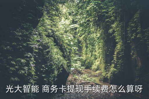 光大智能 商務(wù)卡提現(xiàn)手續(xù)費怎么算呀