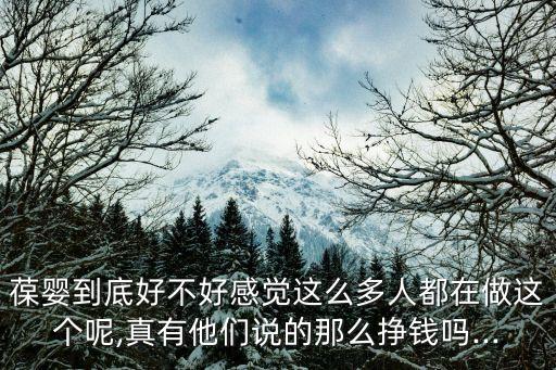 葆嬰到底好不好感覺這么多人都在做這個呢,真有他們說的那么掙錢嗎...