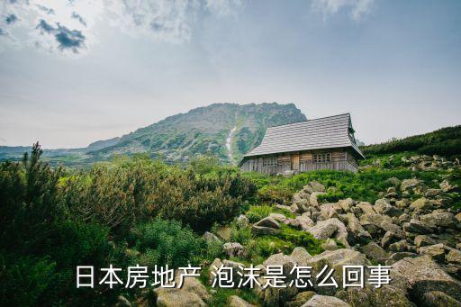 日本泡沫和中國(guó),關(guān)于日本經(jīng)濟(jì)泡沫的書