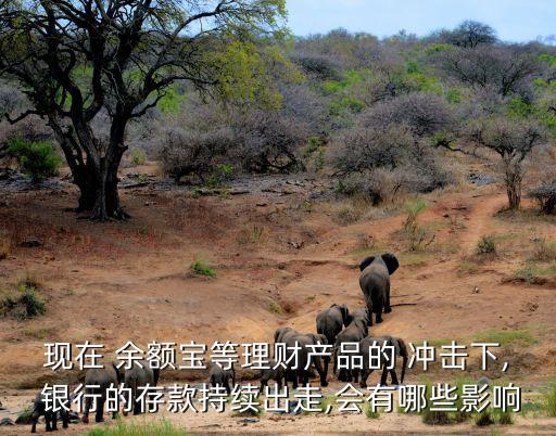現(xiàn)在 余額寶等理財(cái)產(chǎn)品的 沖擊下, 銀行的存款持續(xù)出走,會(huì)有哪些影響