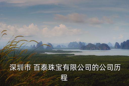 深圳百泰集團