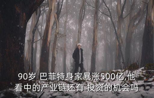 90歲 巴菲特身家暴漲500億,他看中的產(chǎn)業(yè)鏈還有 投資的機會嗎