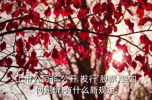 上市公司非 公開 發(fā)行 股票,要如何定價(jià),有什么新規(guī)定