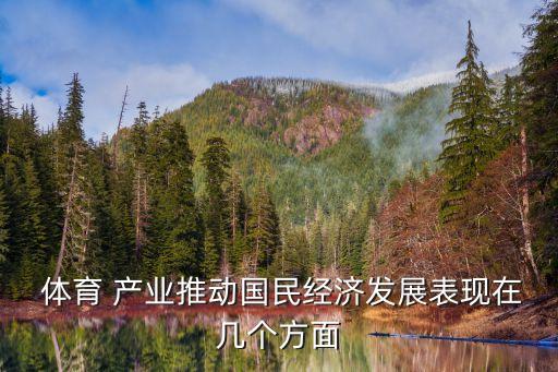  體育 產(chǎn)業(yè)推動(dòng)國(guó)民經(jīng)濟(jì)發(fā)展表現(xiàn)在幾個(gè)方面