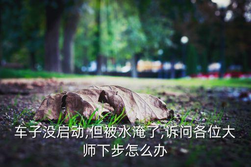 車子沒啟動,但被水淹了,訴問各位大師下步怎么辦