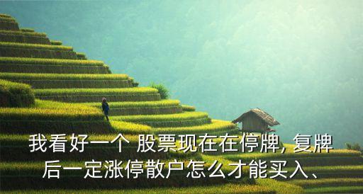 我看好一個(gè) 股票現(xiàn)在在停牌, 復(fù)牌后一定漲停散戶怎么才能買入、