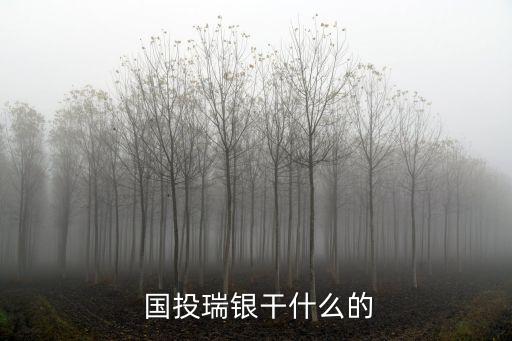  國(guó)投瑞銀干什么的