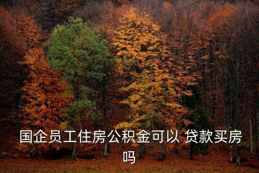 國企職工可以向哪些銀行貸款