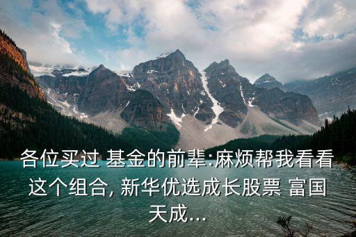 各位買過(guò) 基金的前輩:麻煩幫我看看這個(gè)組合, 新華優(yōu)選成長(zhǎng)股票 富國(guó)天成...