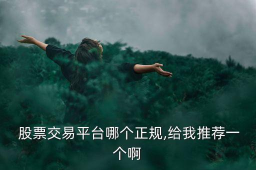 中國股票理財公司,中國的理財公司有哪些啊