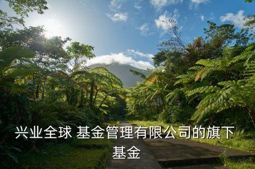 興業(yè)全球 基金管理有限公司的旗下 基金