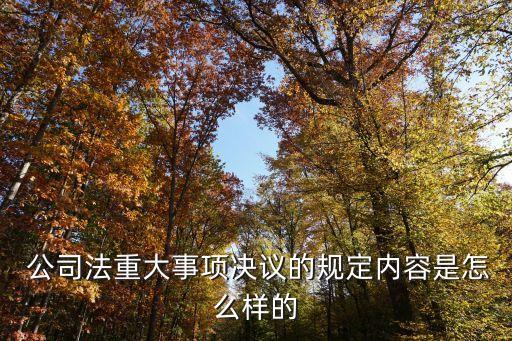 股東對公司重大決策,小股東對重大決策是否有否決權(quán)