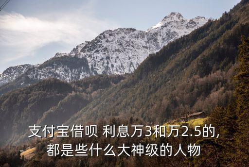 支付寶借唄 利息萬3和萬2.5的,都是些什么大神級的人物