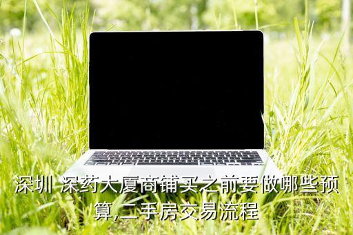 深圳 深藥大廈商鋪買(mǎi)之前要做哪些預(yù)算,二手房交易流程
