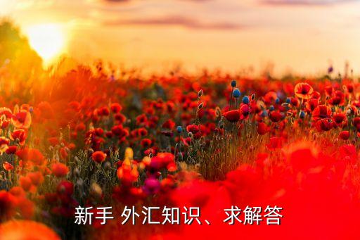 新手 外匯知識(shí)、求解答