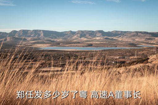 鄭任發(fā)多少歲了粵 高速A董事長(zhǎng)