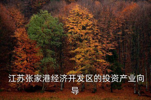  江蘇張家港經(jīng)濟開發(fā)區(qū)的投資產(chǎn)業(yè)向?qū)? class=