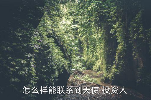 怎么樣能聯(lián)系到天使 投資人
