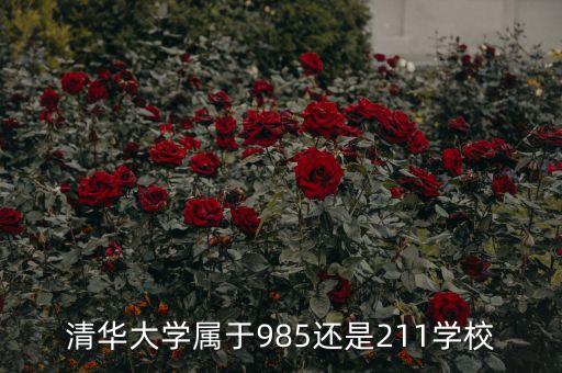 國家科技重大專項基金,國家與地方治理專項基金