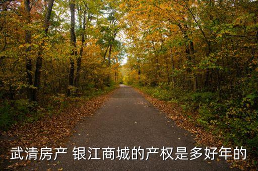 武清房產 銀江商城的產權是多好年的