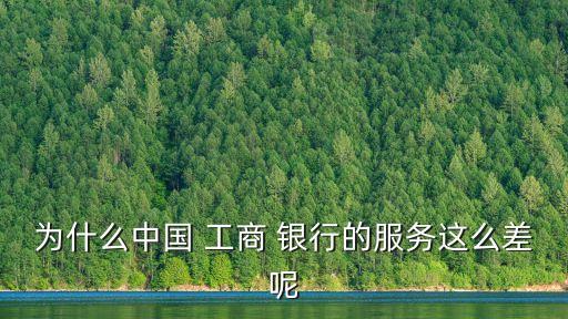 為什么中國(guó) 工商 銀行的服務(wù)這么差呢