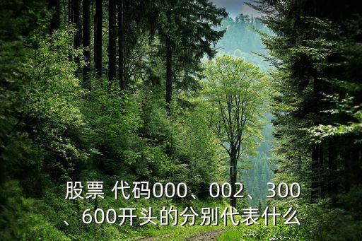  股票 代碼000、002、300、600開頭的分別代表什么