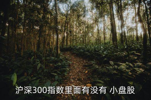上海a股小盤股,a股羅素小盤股的標(biāo)準
