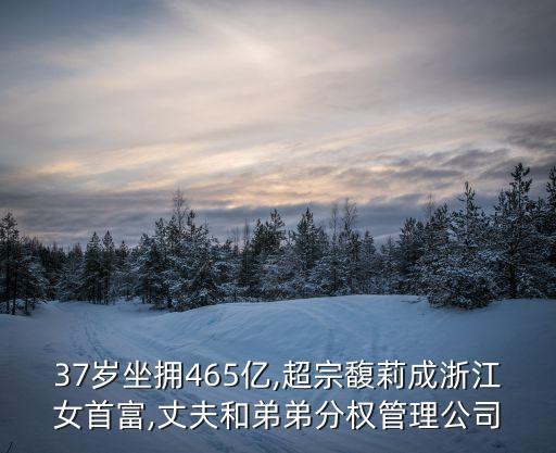2015年中國(guó)億萬(wàn)富翁