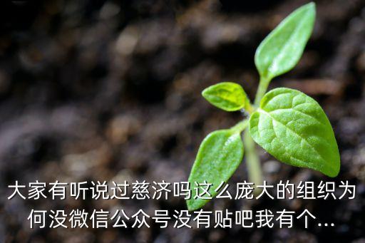 北京慈濟(jì)志工,慈濟(jì)志工每個(gè)月捐多少錢
