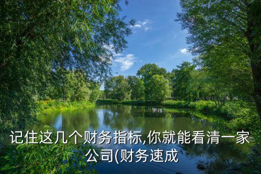 記住這幾個財務指標,你就能看清一家 公司(財務速成