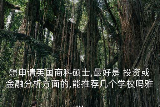 想申請(qǐng)英國商科碩士,最好是 投資或金融分析方面的,能推薦幾個(gè)學(xué)校嗎雅...