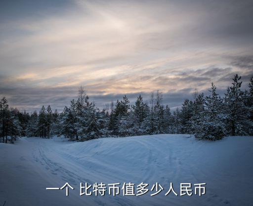 比特幣最低投資多少錢,18年比特幣最低多少錢