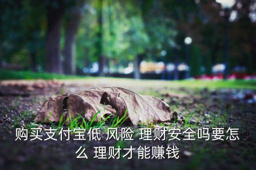 低風(fēng)險理財投資好嗎,中低風(fēng)險的理財最多虧損多少