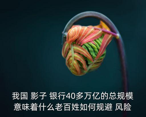 我國 影子 銀行40多萬億的總規(guī)模意味著什么老百姓如何規(guī)避 風(fēng)險