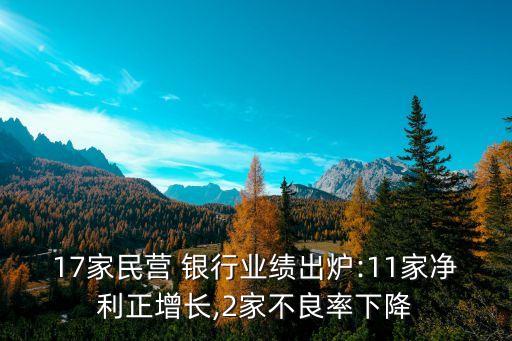 17家民營(yíng) 銀行業(yè)績(jī)出爐:11家凈利正增長(zhǎng),2家不良率下降